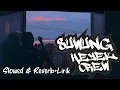 Download Lagu Suwung (Slowed \u0026 Reverb + Lirik) Heyek Crew | Lagu viral tiktok