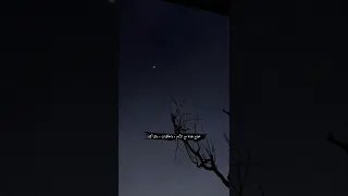 تصاميم عبارات اقتباسات تصميم 