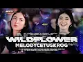 Download Lagu DJ WILDFLOWER REMIX FYP TIKTOK TERBARU - KARNAVAL HOREG WILDFLOWER - ABOYCHANDRA MUSIC