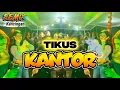 TIKUS KANTOR || REMIX KANCINGAN MAUMERE TERBARU 2025 VIRAL TIKTOK || MARYO RAJA