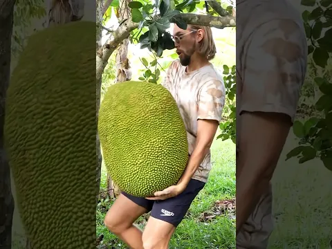 Si esta fruta te cae encima NO sobrevives