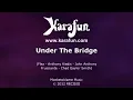 Under the Bridge - Red Hot Chili Peppers | Karaoke Version | KaraFun