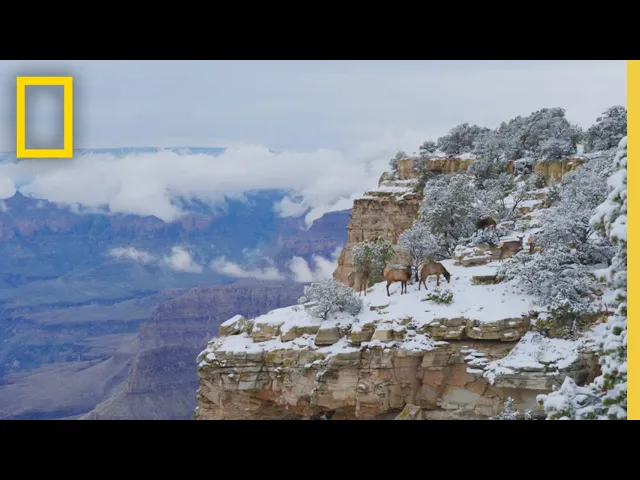 America's National Parks | National Geographic