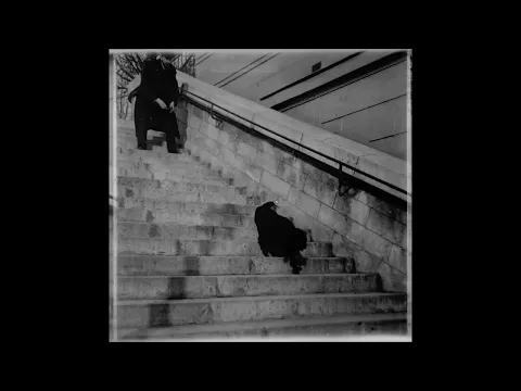 CHIEN, CANICHE NOIR DASCENDANT ET MONTANT UN ESCALIER 1896 1897 Silent film Étienne Jules Marey