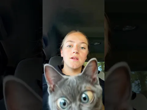 this halloween kitten will scare you laughing #cutekitty #catlove #funnyanimals