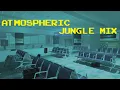 Lagu Atmospheric Jungle + DNB DJ Mix 039 | Liminal Miami Immersion🌴