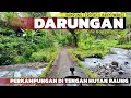 Lagu Desa Terpencil Banyuwangi! Menyusuri Indahnya Jalur Menuju Kampung Darungan di Tengah Hutan Raung!