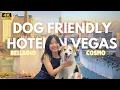 Everything about bringing your dog to Vegas - Bellagio Cosmopolitan Vdara