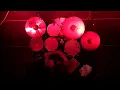 Wolf Mail Live DVD Trailer