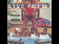 Mega Mixx II - 2 Live Crew