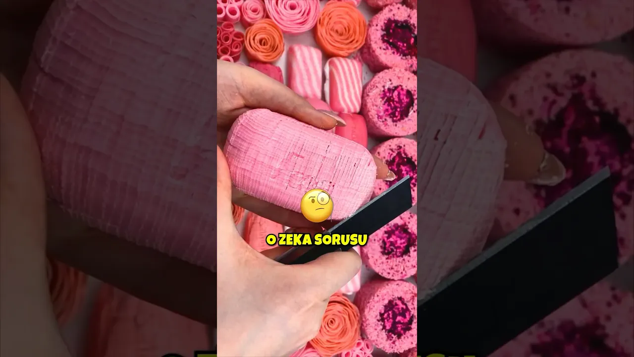 SEN GÖRDÜN MÜ? 👀