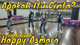 Download Apakah Itu Cinta (DJ Selow) Happy Asmara - Senam kreasi nofa salsa Aerobic MP3