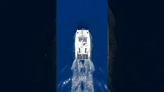 Checkout our latest video on Sailing Zola #bahamas #fishing #divng #sailing ng