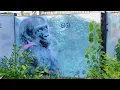 Franklin Park Zoo Boston Massachusetts 2023 Tour