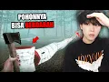 Download Lagu Gua KERJA jadi PENEBANG POHON yang BISA KELUARIN DARAH. - BLOODBARK