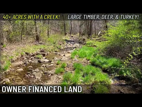 Ground Video of a Natural Spring 40+ acres of Owner Financed in the Ozarks - Creeks & Deer! JJ02
