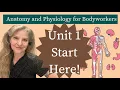 Anatomy Physiology for Bodyworkers A P Foundations for MBLEx Prep
