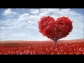 Download Lagu MIRSAD MUMINOVIC MIKA - VRATI SE