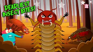 What if these Deadliest Insect Bites You? 🐜🕷️ 🐛 Centipede, Bullet Ant, Cockroach, Bed Bug & Others