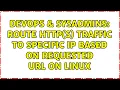DevOps SysAdmins Route HTTP S traffic to specific IP based on requested URL on Linux