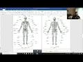 Visual 3D Tutorial 102 Building a Biomechanical Model