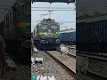 Live Train Accident Train Hits Cow at Full Speed