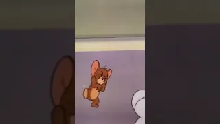 ابوس ايدك كفاية مناديلي مش معايا ضحك موت  ابوس ايدك كفاية مناديلي مش معايا ضحك موت