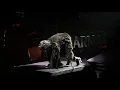 Memory Act 1
