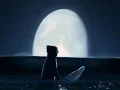 you get what you give