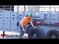 Swift Built Livestock Trailer