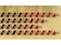 Herald Banner font in action demo