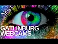 New - Gatlinburg Live Webcams