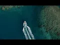 Download Lagu JCU Marine Biology: Where Science Meets Paradise