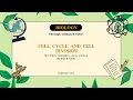 Cell Cycle Cell Division Explained Mitosis Meiosis Phases Regulation Class 11 Biology