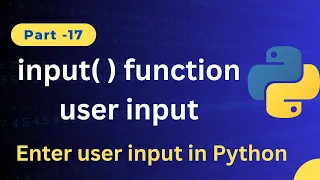 Python Input Function Explained Get User Input in Python with Examples Beginner-Friendly