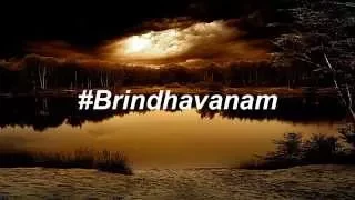brindhavanam raj pirate kaydee lyrical video