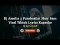 Download Lagu Dj Amelia x Pambasilet Slow BassViral Tiktok Lyrics Karaoke