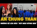 Lagu QUÁ KHÉT: Án chung thân cho Hot Girl Huyền Trang 27 tuổi -Quản lý cấp cao ĐƯỜNG DÂY LỪA ĐẢO 1000 TỶ