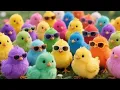 Download Lagu Colorful Chickens, Rainbows Chickens, Cute Chickens, Cute Ducks, Rabbit, Cute Animals