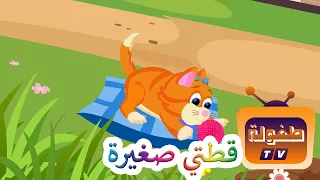 قطتي صغيرة واسمها نميرة 