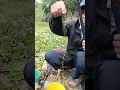 Download Lagu Jangan coba coba mancing nila di lokasi sini kalau ga ketagihan ikan nila babon monster #mancing