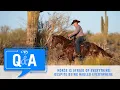 Download Lagu Horse Is Afraid Of Everything Despite Being Hauled Everywhere - Q\u0026A
