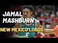 2x All-Mountain West guard Jamal Mashburn Jr New Mexico Lobos 2022 - 2023 Highlights 19 1 PPG