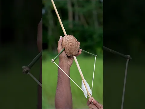 Amazing Coconuts Creations Crafts
