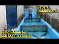 Download Lagu KEMBALINYA SEMUA IKAN MONSTER KE KOLAM! KEINDAHANNYA BIKIN TAMBAH BETAH