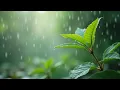 Download Lagu RELAXING SHOLAWAT INSTRUMENT