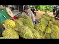 Download Lagu GIẢI CỨU VƯỜN SẦU RIÊNG CHÍN RỤNG ĐẦY GỐC/KHÁCH MUA ĐÔNG ĐEN