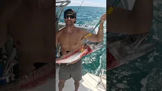 If these boys know anything, it’s fishing! #fishing #fish #sailing #boat