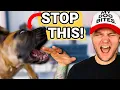 Puppy Training - How To Stop Puppy Biting Guaranteed STOP Puppy Biting In Seconds