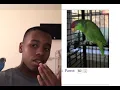 Bird YouTuber reacts to bird Craigslist ADS